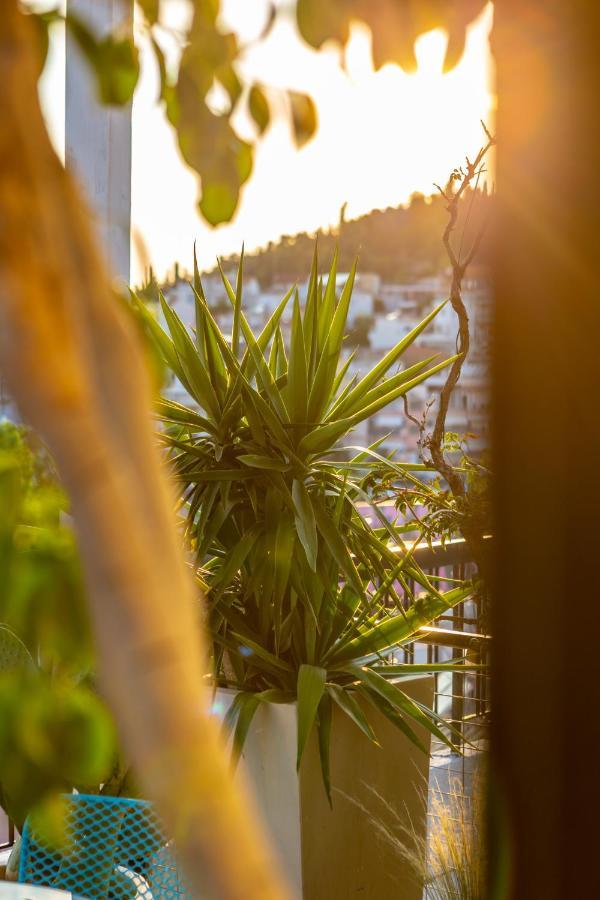Panorama Loft Apartment คัลกิดา ภายนอก รูปภาพ